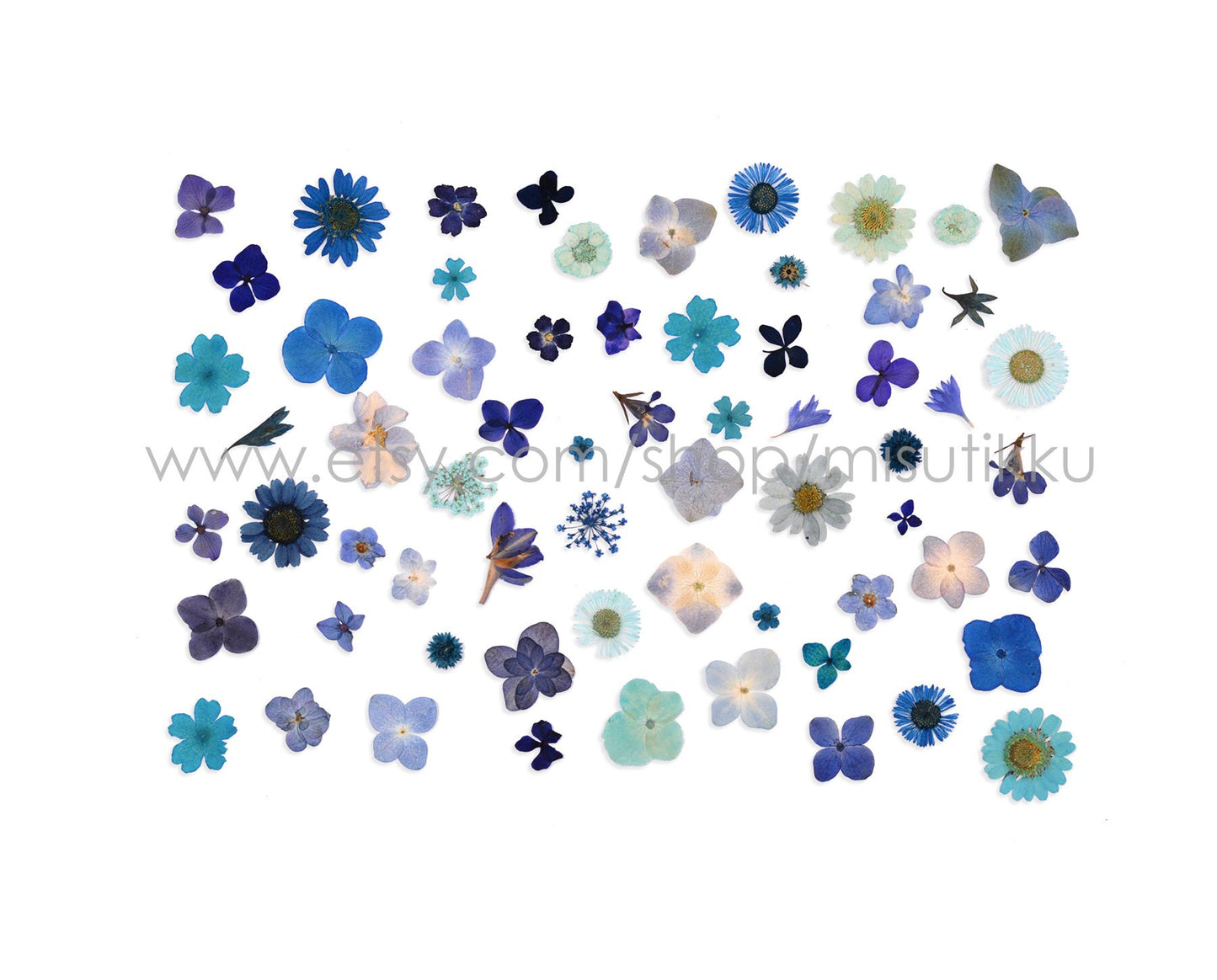 100 PCS Set Mixed Pressed Blue Flowers, Dried Blue Flower Stems, Dried Pressed Flower, Real Flat Blue Flowers, Assorted Preserved Flowers