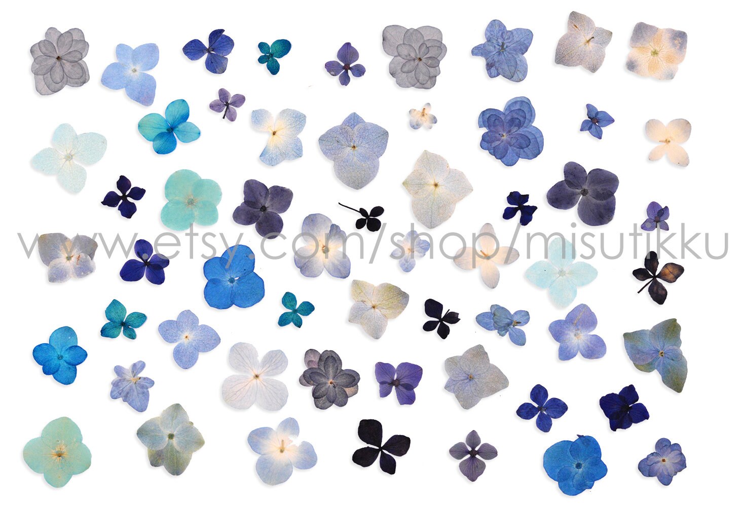 20 PCS Set (1.5-3CM) Pressed Hydrangea Dried Flower, Blue Dried Hydrangea Flowers, Flat Pressed Dried Flowers, Real Hydrangea pressed Flower