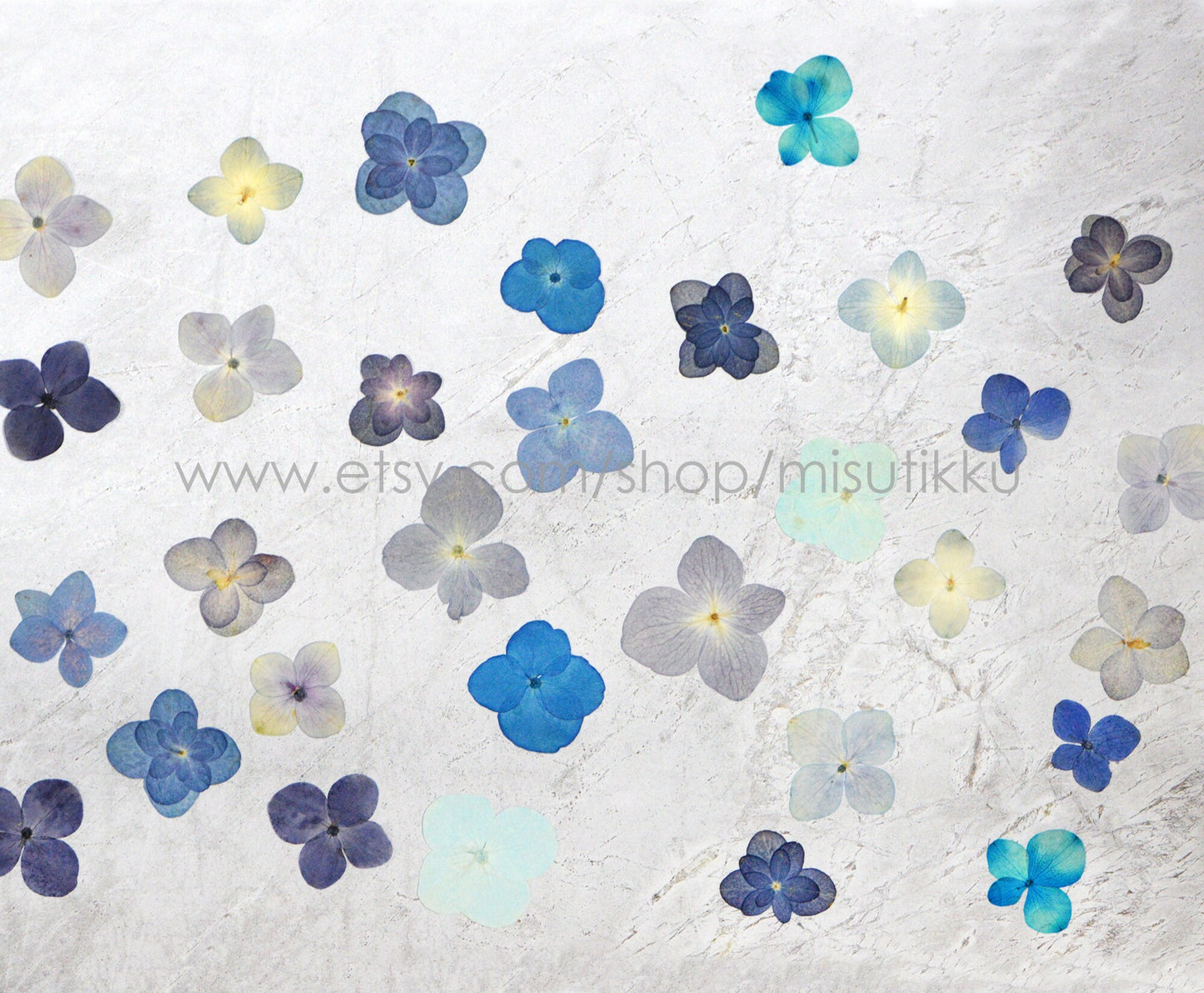 20 PCS Set (1.5-3CM) Pressed Hydrangea Dried Flower, Blue Dried Hydrangea Flowers, Flat Pressed Dried Flowers, Real Hydrangea pressed Flower