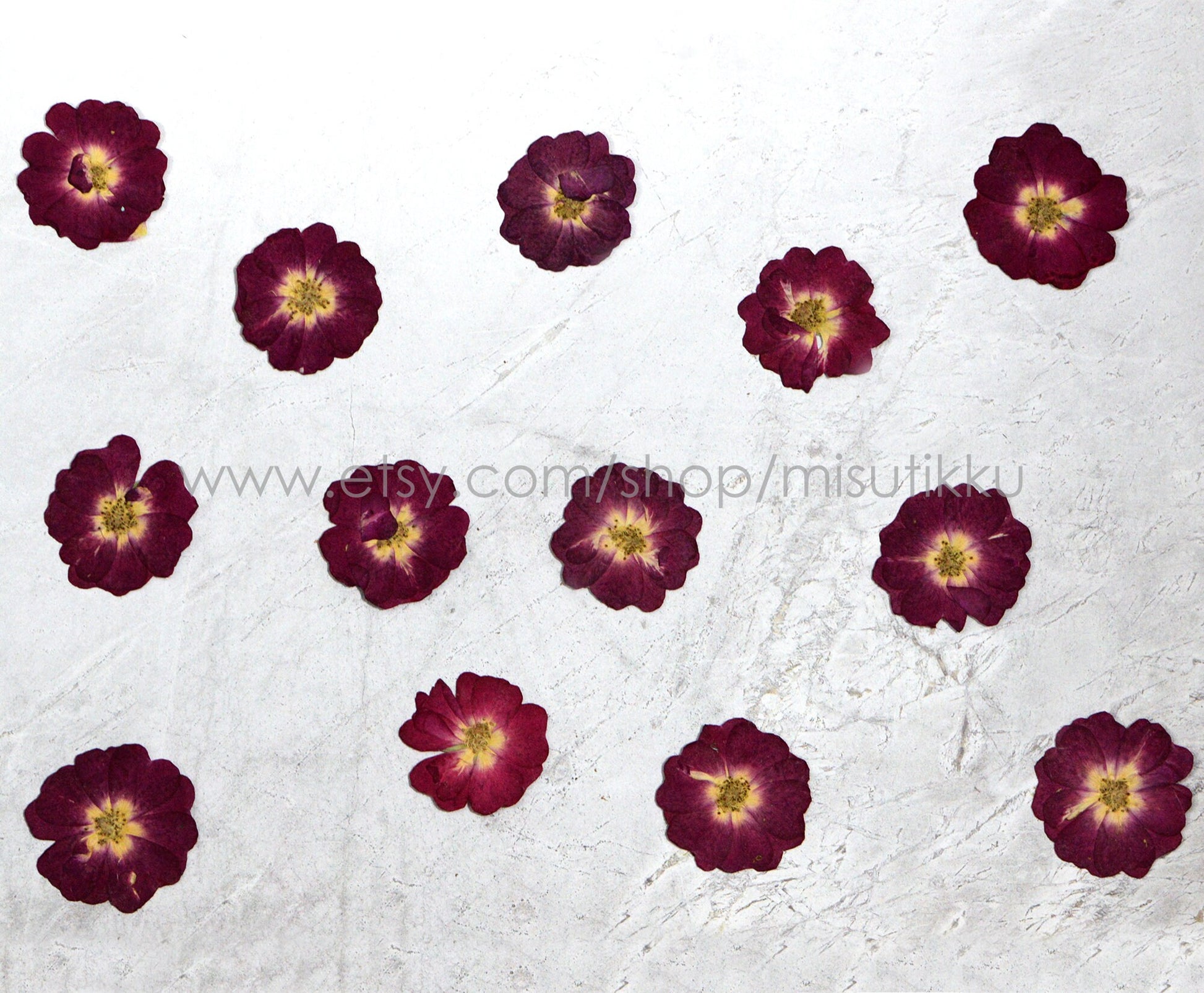 12 PCS/Set (3-4CM) Pressed Rose Flowers, Real Dried Roses, Pressed Burgundy Red Rose Flowers, Real Flat Rose, Pressed Rose Dried Flowers,