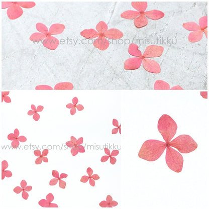 12 PCS/Set (2-3CM) Pressed Pink Flower, Pressed Hydrangea Dried Flower, Dried Hydrangea Flower, Real Hydrangea Flowers, Pink Flat Flower