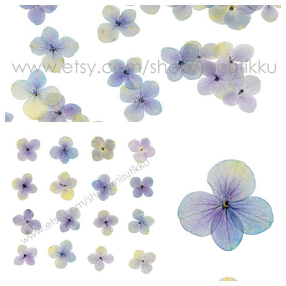 20 PCS Set (2.5-4CM) Pressed Hydrangea Dried Flowers, Natural Dried Hydrangea Blue Flowers, Perseveration Flowers, Pressed Dried Flat Flower