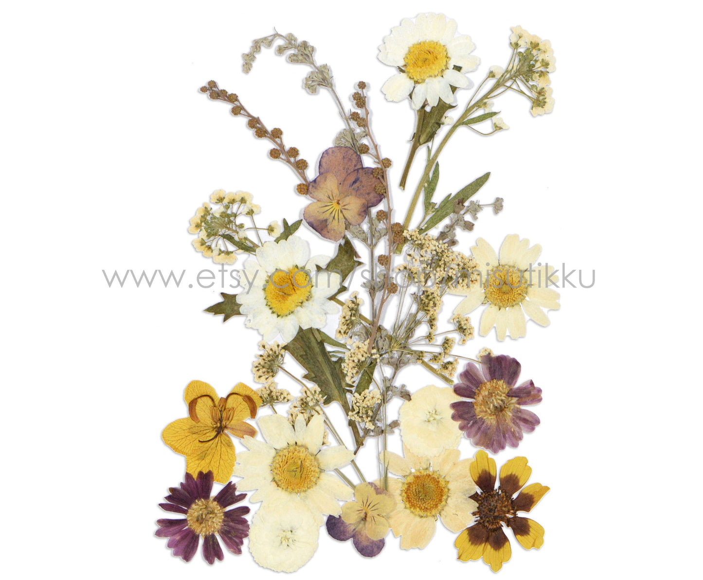 20 PCS SAMPLE PACK Mixed Dried Pressed Flowers, Pressed Dried Flowers Bulk, Pressed Leaves Greenery, Pressed Real Flower, Flat Dried Flower