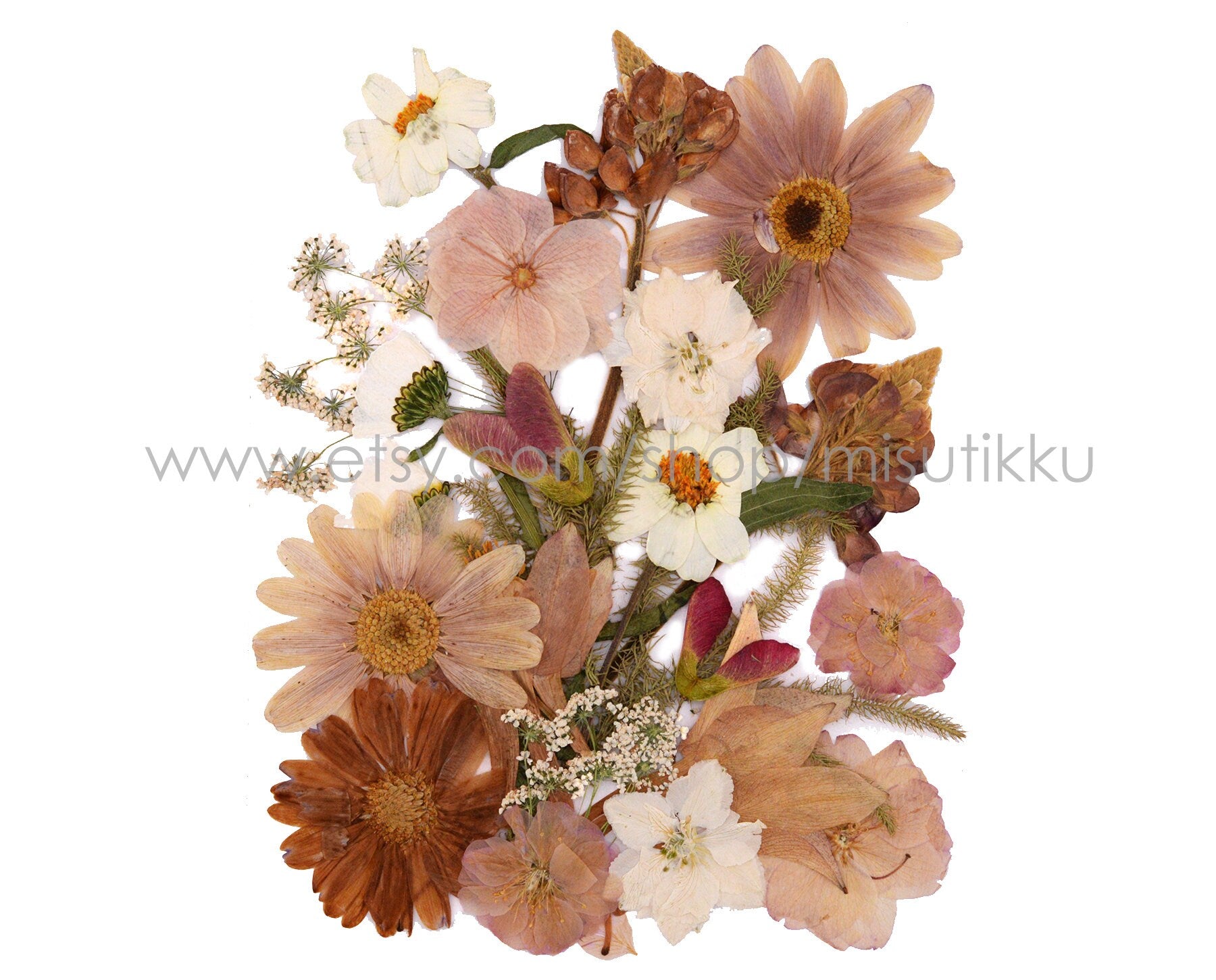 20 PCS SAMPLE PACK Mixed Dried Pressed Flowers, Pressed Dried Flowers Bulk, Pressed Leaves Greenery, Pressed Real Flower, Flat Dried Flower