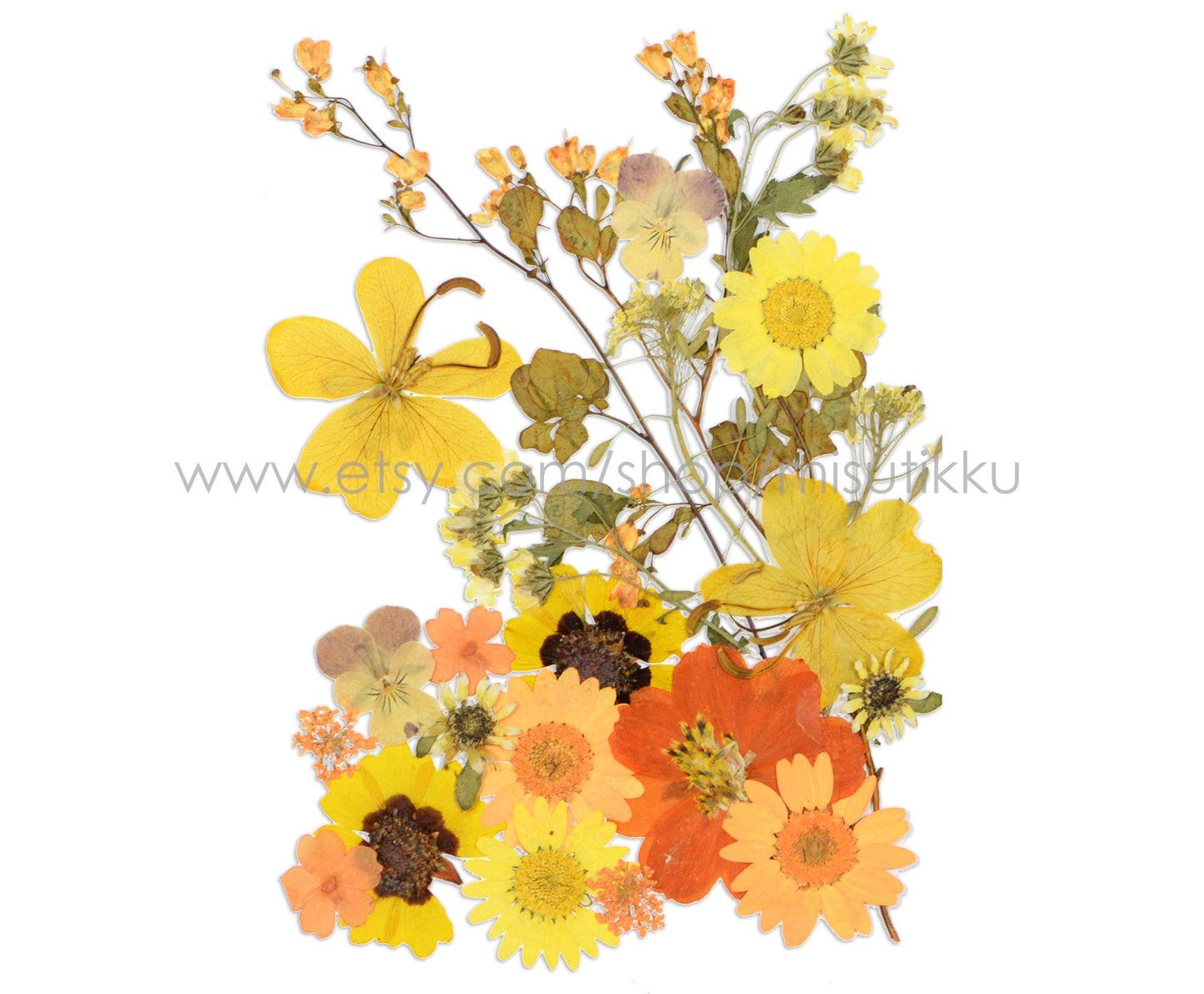 20 PCS SAMPLE PACK Mixed Dried Pressed Flowers, Pressed Dried Flowers Bulk, Pressed Leaves Greenery, Pressed Real Flower, Flat Dried Flower