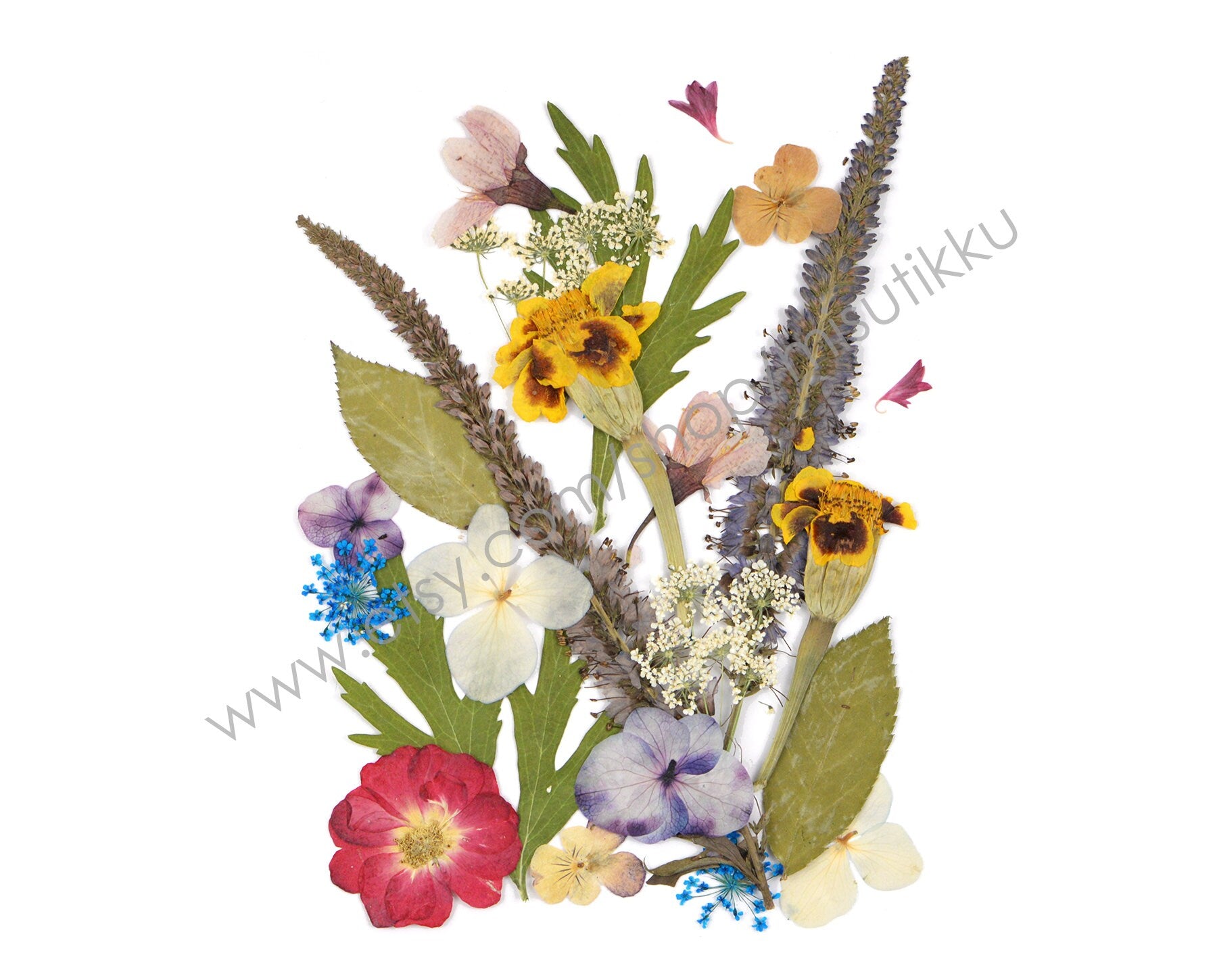 20 PCS SAMPLE PACK Mixed Pressed Flower, Dried Real Flowers, Flat Dried Flowers, Preserved Flower Dried Leaves Bulk, Dried Pressed Leaves,