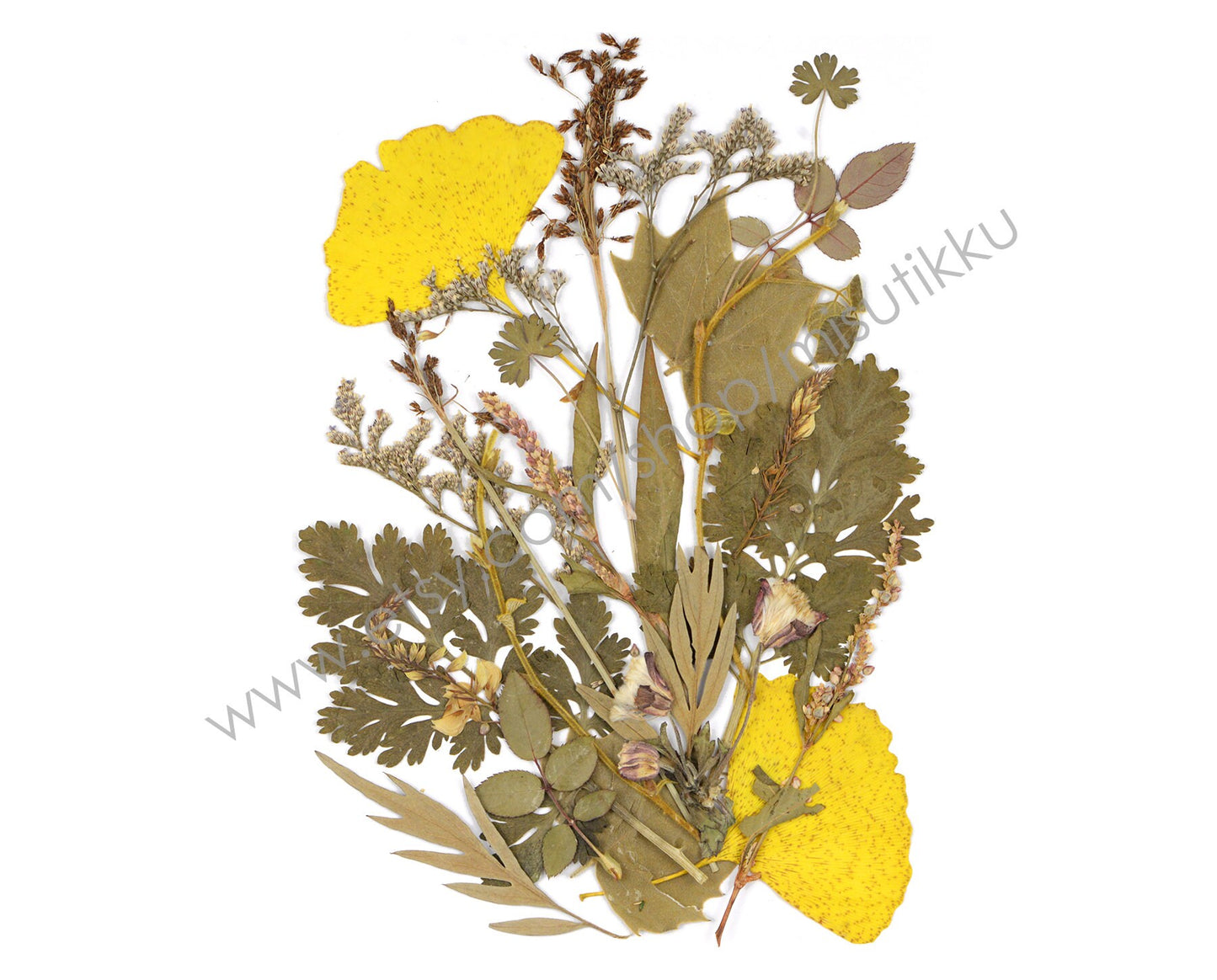 20 PCS SAMPLE PACK Mixed Pressed Flower, Dried Real Flowers, Flat Dried Flowers, Preserved Flower Dried Leaves Bulk, Dried Pressed Leaves,