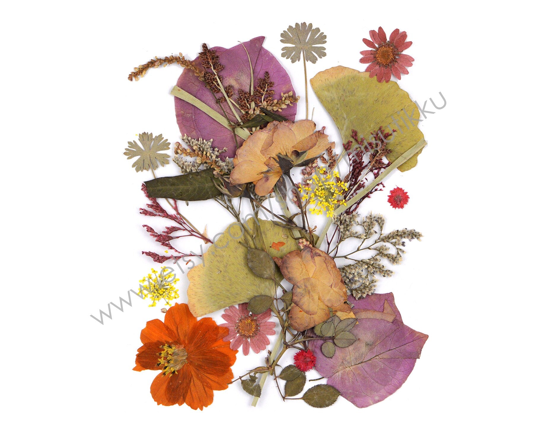 20 PCS SAMPLE PACK Mixed Pressed Flower, Dried Real Flowers, Flat Dried Flowers, Preserved Flower Dried Leaves Bulk, Dried Pressed Leaves,