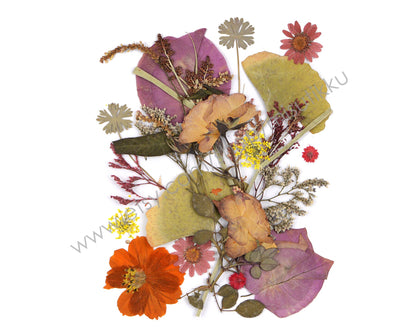 20 PCS SAMPLE PACK Mixed Pressed Flower, Dried Real Flowers, Flat Dried Flowers, Preserved Flower Dried Leaves Bulk, Dried Pressed Leaves,