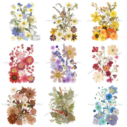 20 PCS SAMPLE PACK Mixed Dried Pressed Flowers, Pressed Dried Flowers Bulk, Pressed Leaves Greenery, Pressed Real Flower, Flat Dried Flower