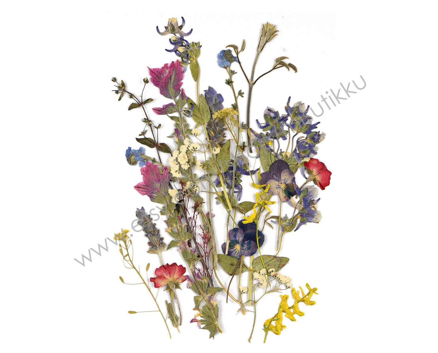 20 PCS SAMPLE PACK Mixed Dried Flowers, Pressed Real Flowers, Dried Pressed Flower, Pressed Flat Flowers, Natural Real Pres Dried Flowers