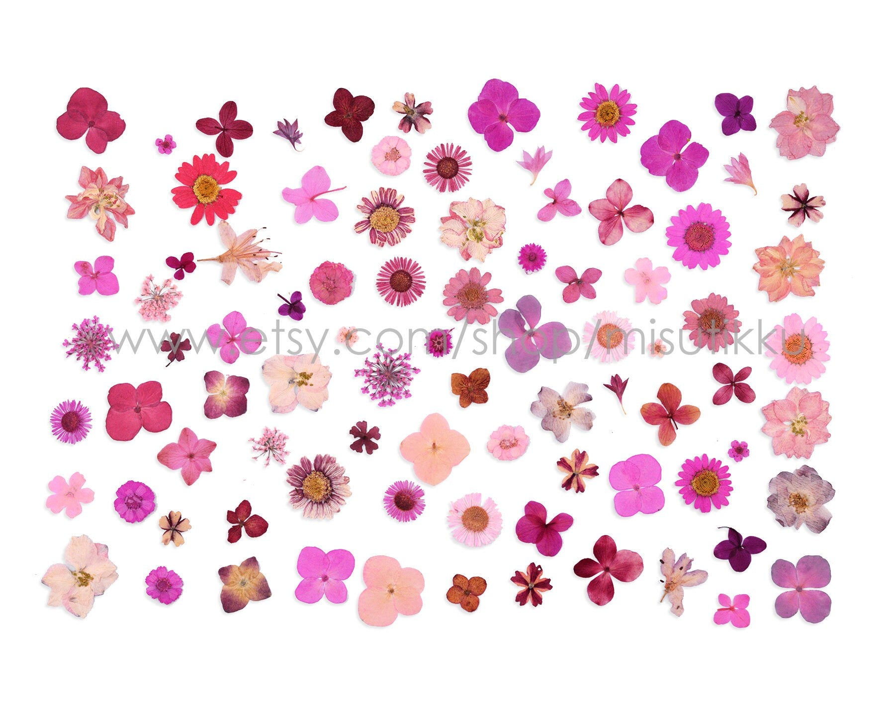 20 PCS Set Pressed Dried Flower, Bulk Pressed Pink Flower, Dried Pressed Flat Flower, Pink Pressed Flower Stems, Pressed Real Dried Flowers