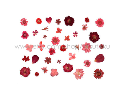 100 PCS Set Pressed Red Flowers, Mixed Dried Pressed Flowers Stems, Real Pressed Dried Flower Variety Pack. Pressed Flat Red Real Flowers