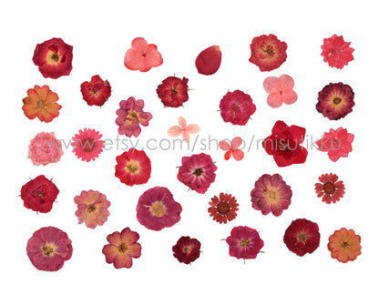 100 PCS Set Pressed Red Flowers, Mixed Dried Pressed Flowers Stems, Real Pressed Dried Flower Variety Pack. Pressed Flat Red Real Flowers