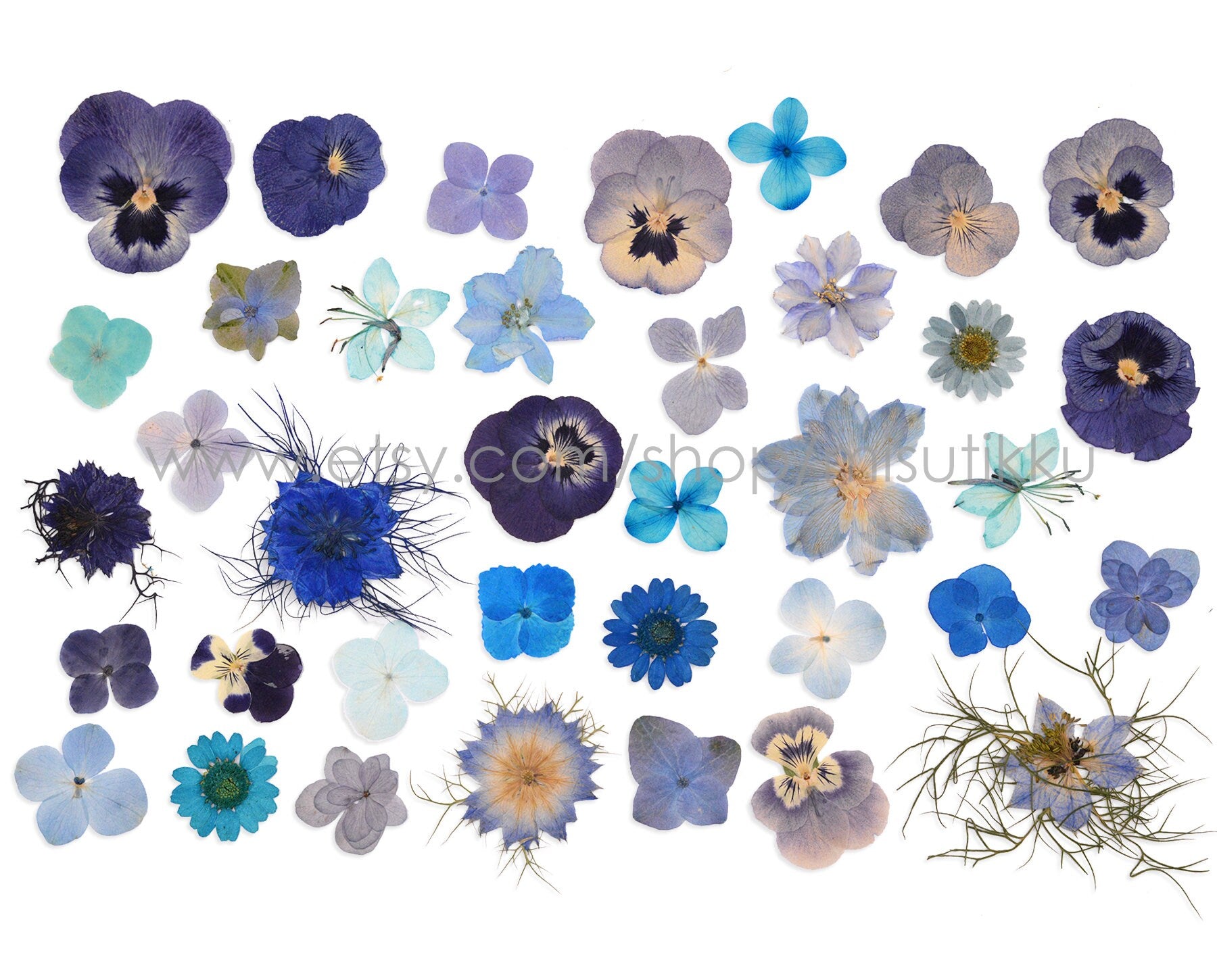 100 PCS Set Mixed Pressed Blue Flowers, Dried Blue Flower Stems, Dried Pressed Flower, Real Flat Blue Flowers, Assorted Preserved Flowers