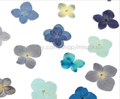 20 PCS Set (1.5-3CM) Pressed Hydrangea Dried Flower, Blue Dried Hydrangea Flowers, Flat Pressed Dried Flowers, Real Hydrangea pressed Flower