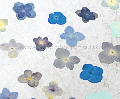 20 PCS Set (1.5-3CM) Pressed Hydrangea Dried Flower, Blue Dried Hydrangea Flowers, Flat Pressed Dried Flowers, Real Hydrangea pressed Flower