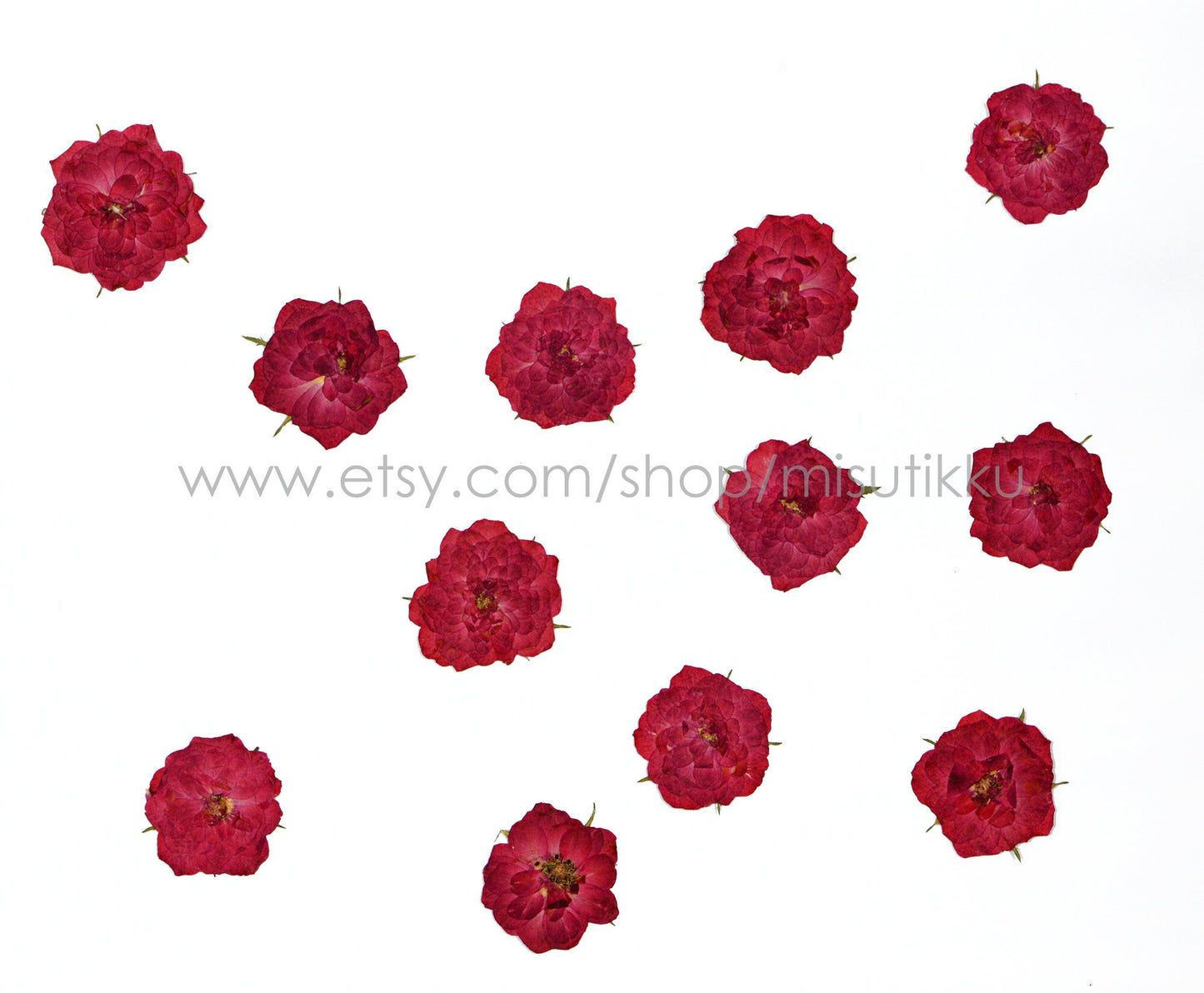 20 PCS Set (2.5-3.5CM) Pressed Red Roses, Real Dried Pressed Roses, Pressed Rose Flower, Preserved Flat Dried Rose Petals Rose flower