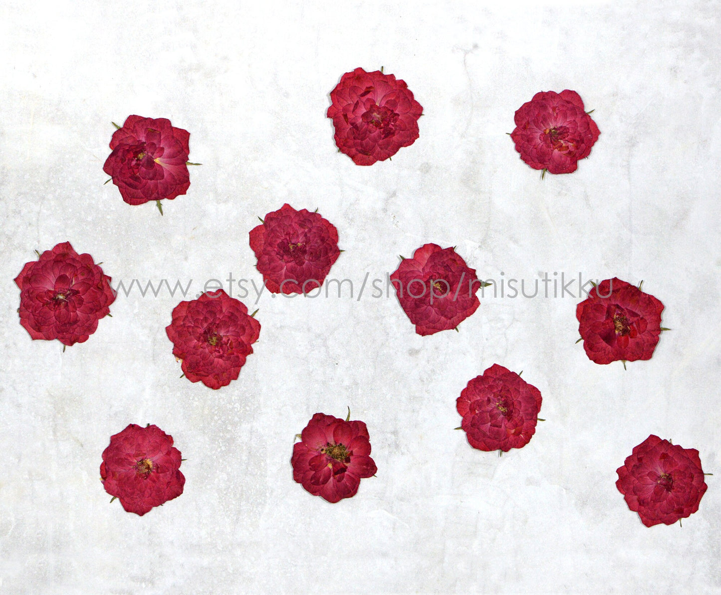 20 PCS Set (2.5-3.5CM) Pressed Red Roses, Real Dried Pressed Roses, Pressed Rose Flower, Preserved Flat Dried Rose Petals Rose flower