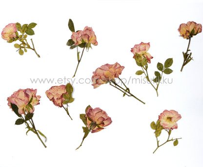 12 PCS Set (6-9CM) Dried Pressed Flowers Roses Stems, Pressed Dried Flower Roses, Real Dried Flat Roses, Preserved Real Dried Rose Flowers