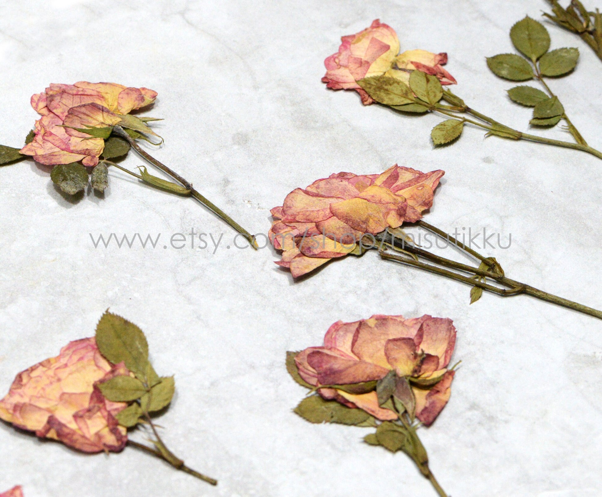 12 PCS Set (6-9CM) Dried Pressed Flowers Roses Stems, Pressed Dried Flower Roses, Real Dried Flat Roses, Preserved Real Dried Rose Flowers