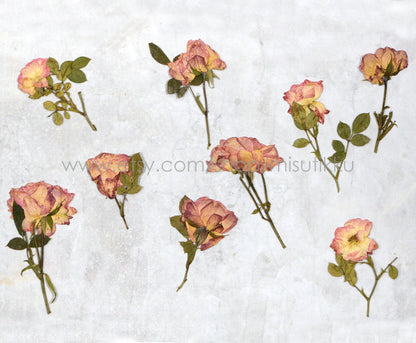 12 PCS Set (6-9CM) Dried Pressed Flowers Roses Stems, Pressed Dried Flower Roses, Real Dried Flat Roses, Preserved Real Dried Rose Flowers