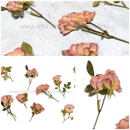 12 PCS Set (6-9CM) Dried Pressed Flowers Roses Stems, Pressed Dried Flower Roses, Real Dried Flat Roses, Preserved Real Dried Rose Flowers