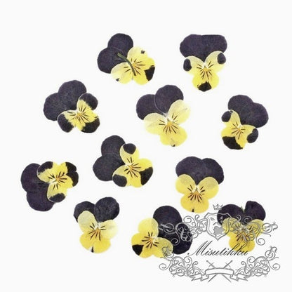 20 PCS set (2-3CM) Pressed Pansy Viola Flowers, Dried Pansy Flowers, Pressed Dried Viola Pansy Flowers, Flat Viola Real Dried Pansies