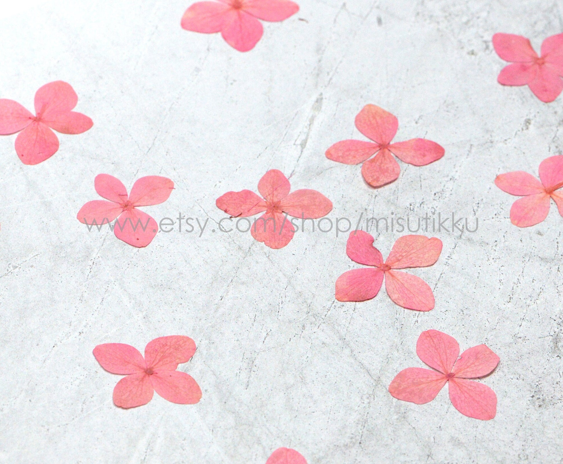 12 PCS/Set (2-3CM) Pressed Pink Flower, Pressed Hydrangea Dried Flower, Dried Hydrangea Flower, Real Hydrangea Flowers, Pink Flat Flower