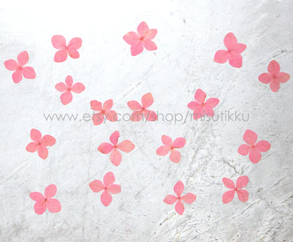 12 PCS/Set (2-3CM) Pressed Pink Flower, Pressed Hydrangea Dried Flower, Dried Hydrangea Flower, Real Hydrangea Flowers, Pink Flat Flower