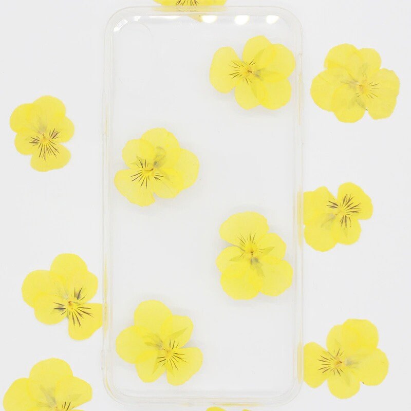 20 PCS set (2 Sizes) Pressed Pansy Flowers, Pressed Dried Flat Yellow Pansies, Pressed Yellow Dried Viola Flower, Real Pressed Viola Pansy