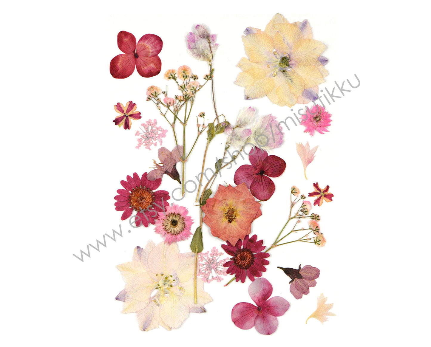 20 PCS SAMPLE PACK Mixed Dried Pressed Flowers, Pressed Dried Flowers Bulk, Pressed Leaves Greenery, Pressed Real Flower, Flat Dried Flower