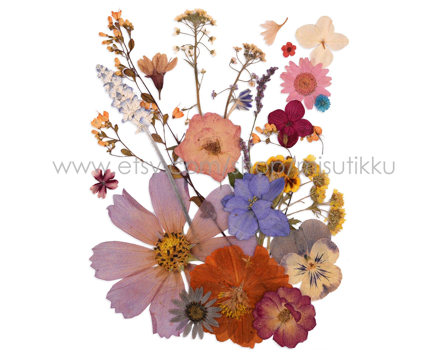 20 PCS SAMPLE PACK Mixed Pressed Flower, Dried Real Flowers, Flat Dried Flowers, Preserved Flower Dried Leaves Bulk, Dried Pressed Leaves,