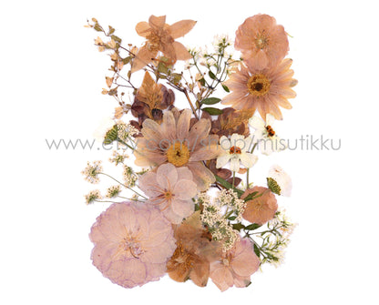 20 PCS SAMPLE PACK Mixed Pressed Flower, Dried Real Flowers, Flat Dried Flowers, Preserved Flower Dried Leaves Bulk, Dried Pressed Leaves,