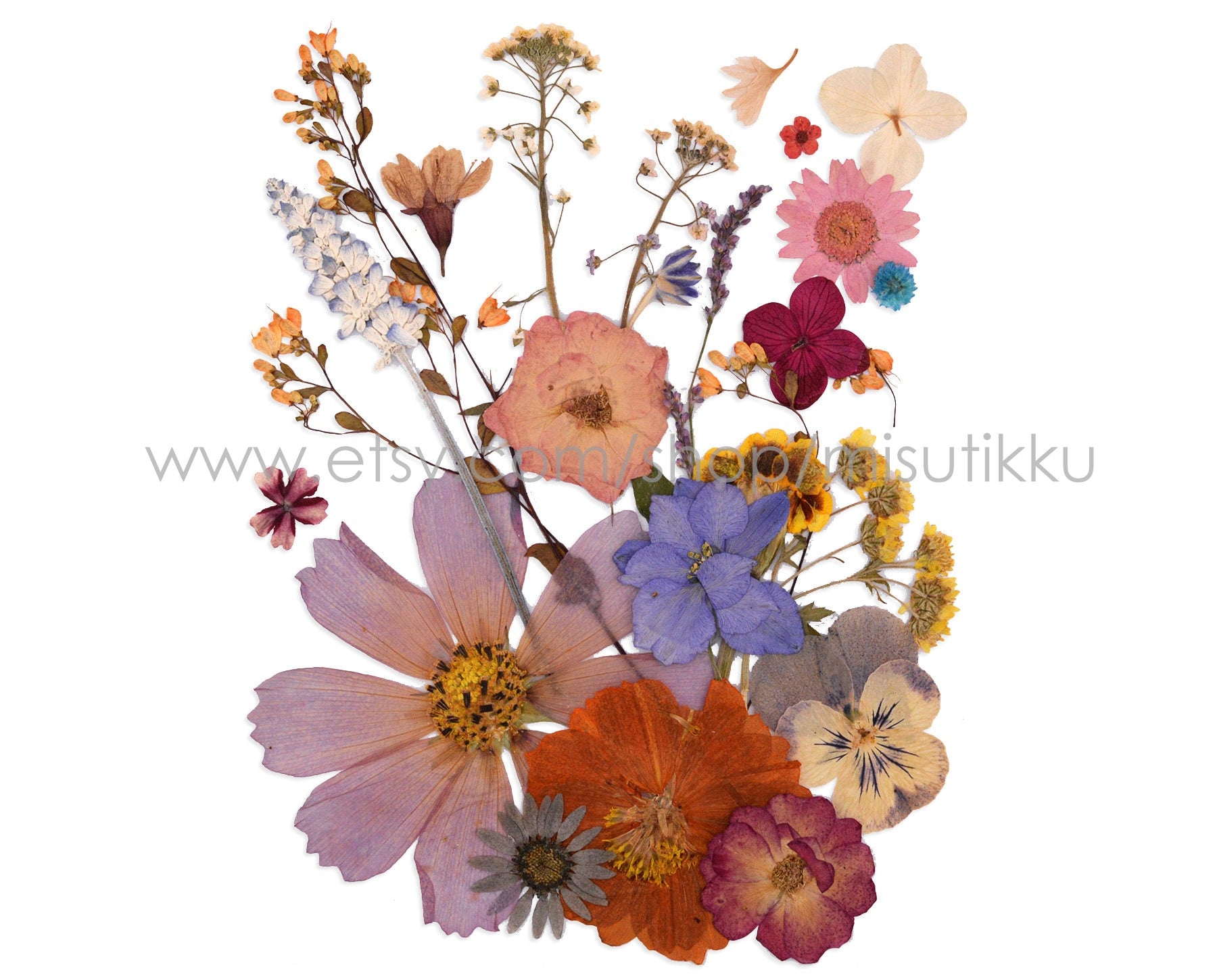 20 PCS SAMPLE PACK Mixed Dried Flowers, Pressed Real Flowers, Dried Pressed Flower, Pressed Flat Flowers, Natural Real Pres Dried Flowers