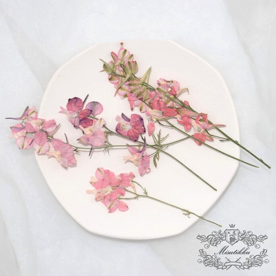 6 PCS Set (7-10CM) Pressed Dried Flowers Stems, Real Pressed Pink Flowers, Flat Dried Pressed Flower Stems, Preserved Pink Dried Flower