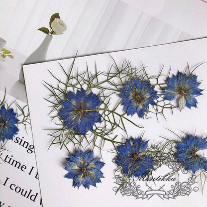 12 PCS/Set (3.5-5CM) Dried Pressed Flowers, Dried Blue Nigella Flower , Pressed Blue Dried Flowers, Real Blue Flower, Pressed Flat Flowers