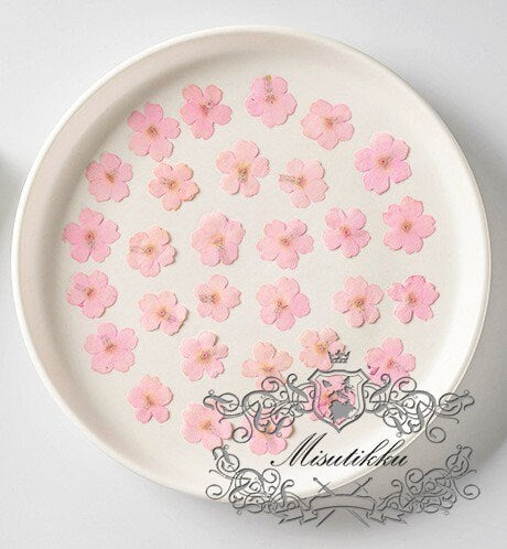 20 PCS/Set (3-3.5cm) Pressed Dried Pink Flower, Presed Pink Flat Flowers, Pressed Pink Flower, RealDried Flowers, Preserved Dried Flowers,