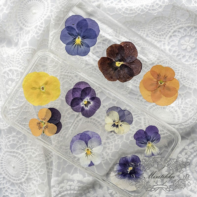 12 PCS/PACK (2-5CM) Pressed Dried Pansy Flowers, Mixed real Pansy Viola Flower, Dried Purple flowers, Flat Blue Pansies Pressed Viola Flower