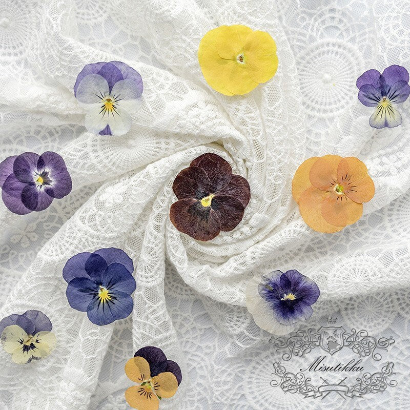 12 PCS/PACK (2-5CM) Pressed Dried Pansy Flowers, Mixed real Pansy Viola Flower, Dried Purple flowers, Flat Blue Pansies Pressed Viola Flower