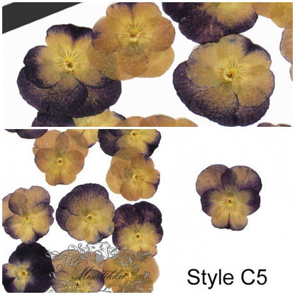 12 PCS set (3-5CM) Pressed Dried Pansy Flowers, Dried Pansies Real Flower, Pressed Flat Pansies Flower, Dried Pressed Viola Pansy Flowers