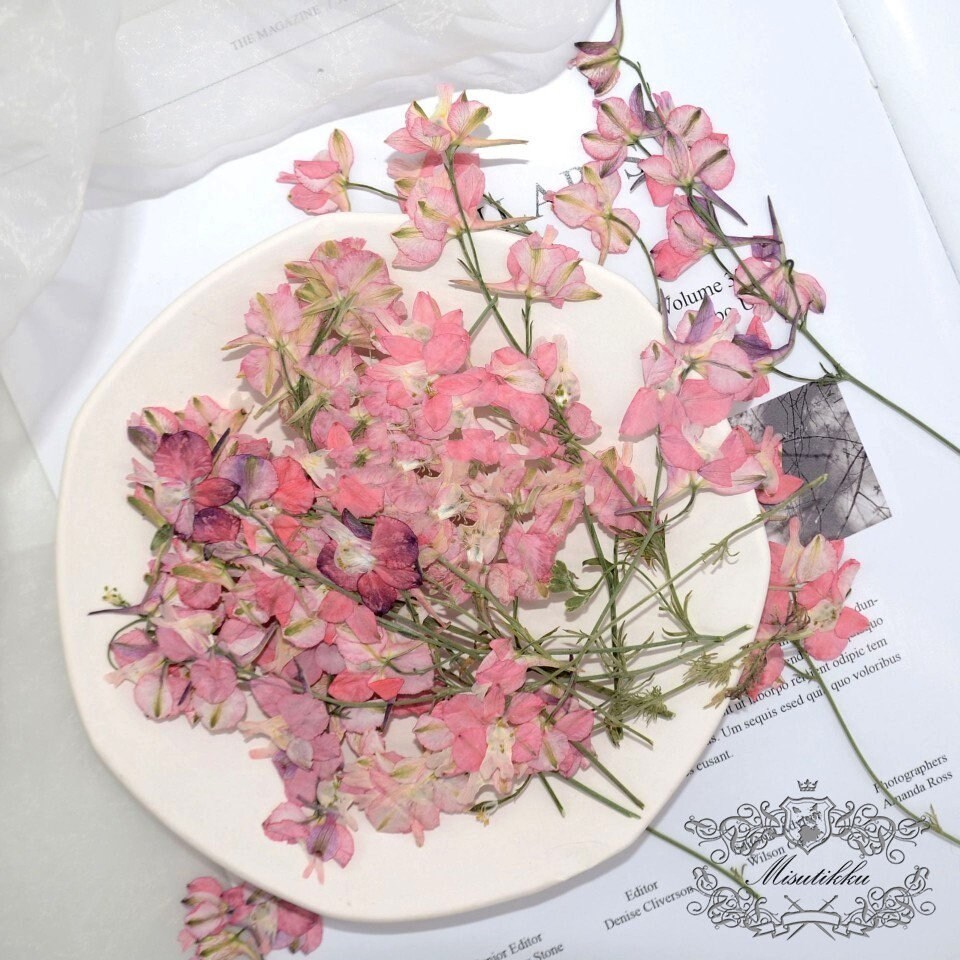 6 PCS Set (7-10CM) Pressed Dried Flowers Stems, Real Pressed Pink Flowers, Flat Dried Pressed Flower Stems, Preserved Pink Dried Flower