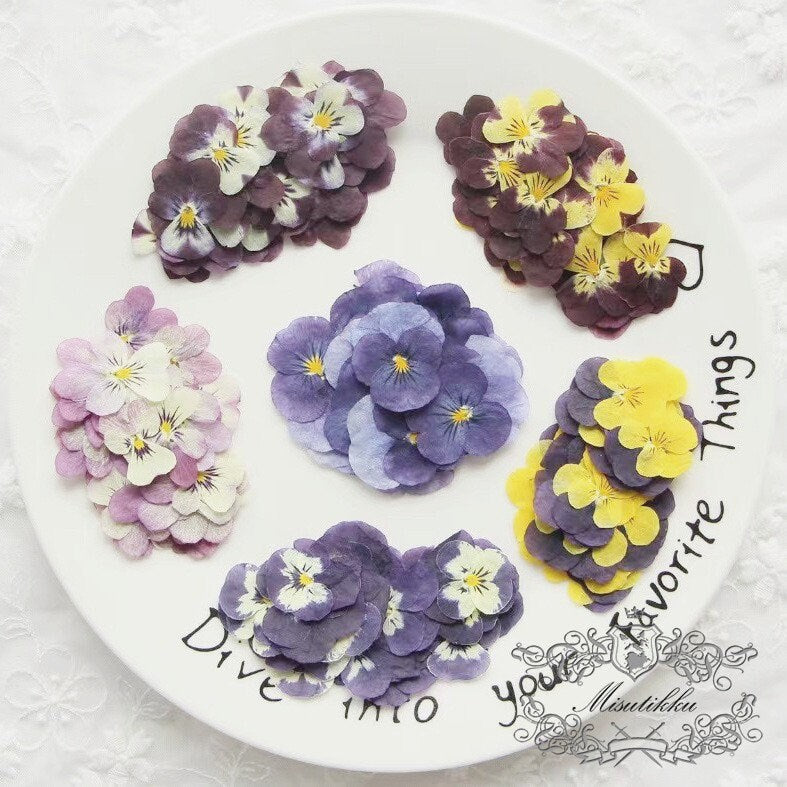 12 PCS/PACK (2-5CM) Pressed Dried Pansy Flowers, Mixed real Pansy Viola Flower, Dried Purple flowers, Flat Blue Pansies Pressed Viola Flower