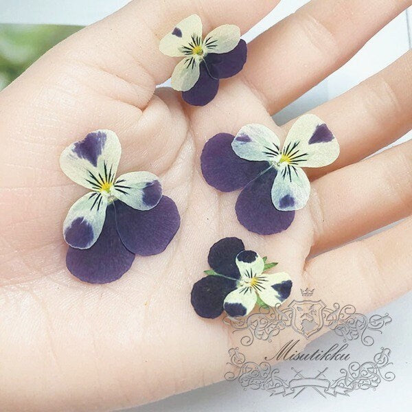 12 PCS set (2-3CM) Pressed Dried Pansy Flowers, Pressed Dried Pansies, Pressed Blue Viola Flower, Real Pressed Viola Pansy, Dried Flat Pansy