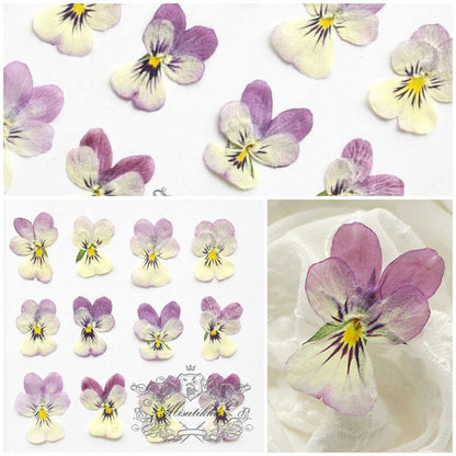 20 PCS set (2-3CM) Pansy Pressed Flowers, Dried Pansy Flower, Pressed Purple Pansies Viola Flower, Real Viola Pansy, Flat Dried Pansies