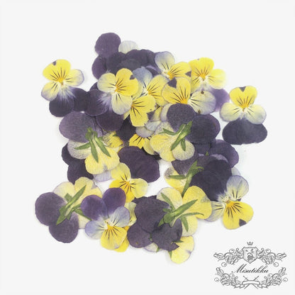 12 PCS set (2-3CM) Pressed Flowers Pansy, Real Pansy Dried Flower, Pressed Flat Pansies Viola Flower, Pressed Viola Pansy Real Dried Pansies