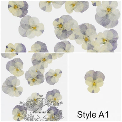 12 PCS set (2-4 cm) Pressed Pansy Dried Flowers, Pressed Dried Pansies, Pressed Dried Viola Flower, Real Pressed Viola, Preserved FlatPansy