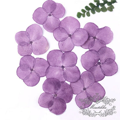 20 PCS Set (2-3CM) Pressed Hydrangea Flowers, Dark Purple Dried Flower, Dried Real Flower, Pressed flat Flowers, Real Hydrangea Flowers