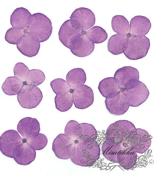 20 PCS Set (2-3CM) Pressed Hydrangea Flowers, Dark Purple Dried Flower, Dried Real Flower, Pressed flat Flowers, Real Hydrangea Flowers