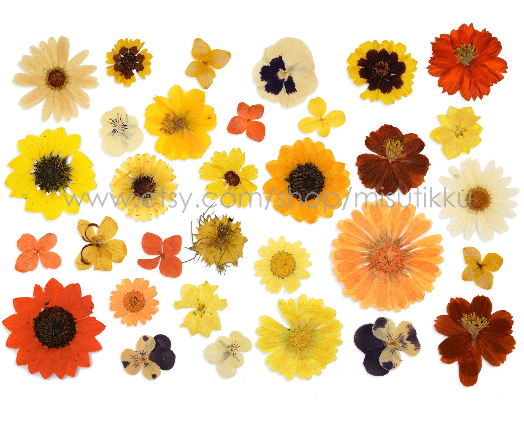 20 PCS Set Mixed Large Dried Amber Flower Sets, Pressed Yellow Flower Bulk, Real Pressed Orange Flower Stems, Flat Pressed Dried Flower Pack